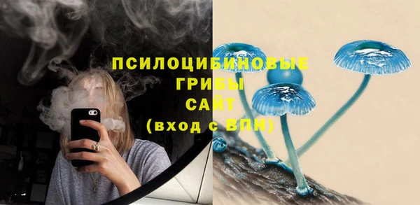 хмурый Балабаново