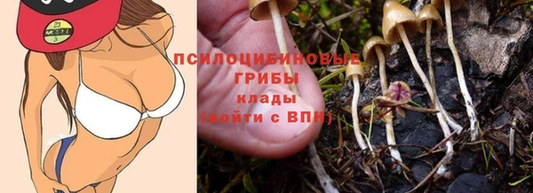 ешки Баксан